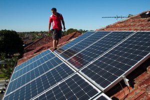 rooftop solar panels - photo by edmund tse