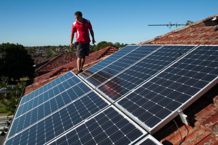 rooftop solar panels - photo by edmund tse