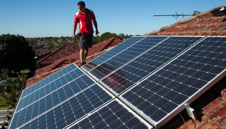 rooftop solar panels - photo by edmund tse