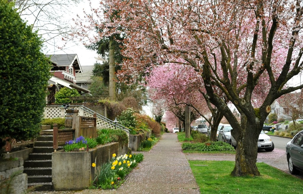 trees in front of home - trees increase home value