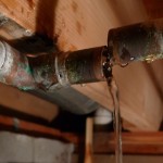 leaky pipes; photo by 13 of clubs via flickr