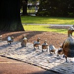 make way for ducklings statue on boston common - spring real estate guide home buying timeline