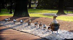 make way for ducklings statue on boston common - spring real estate guide home buying timeline