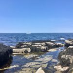 halibut point state park in rockport, mass