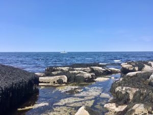 halibut point state park in rockport, mass