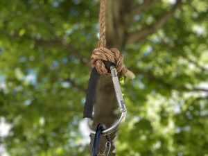 attach tire swing with carabiner