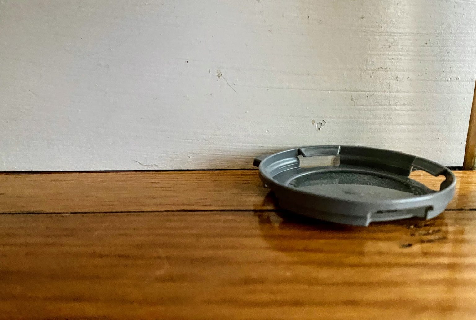 Homemade ant traps and other ways to keep insects out of your house