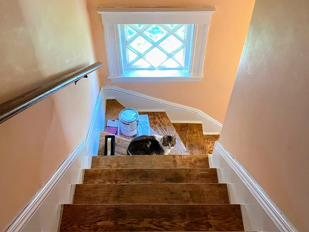 cat judging my trim painting in the stairway