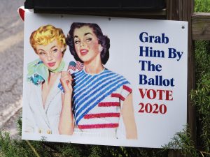 yard sign that says grab him by the ballot