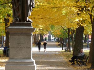 comm ave mall in fall