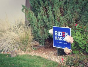 biden/harris lawn sign with rabbit nearby