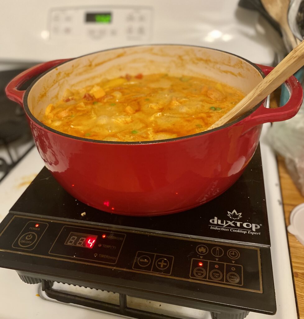 curry simmering on induction cooktop in gas vs. induction stove test